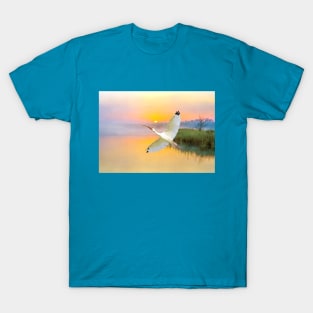 White American Ibis Bird in Flight T-Shirt